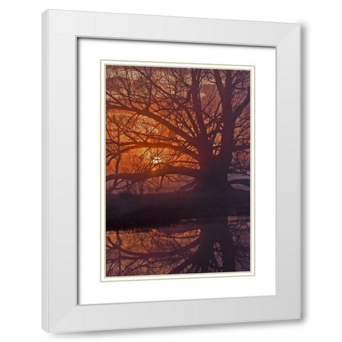 Foggy Sunrise White Modern Wood Framed Art Print with Double Matting by McFerrin, Larry