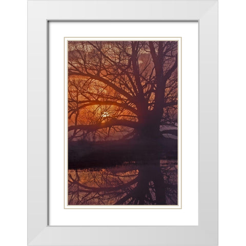 Foggy Sunrise White Modern Wood Framed Art Print with Double Matting by McFerrin, Larry