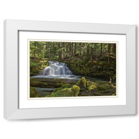 Whitehorse Falls White Modern Wood Framed Art Print with Double Matting by McFerrin, Larry