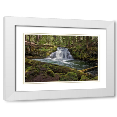 Whitehorse Falls White Modern Wood Framed Art Print with Double Matting by McFerrin, Larry