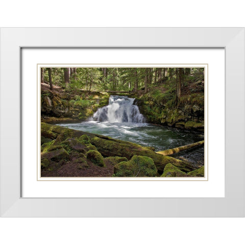 Whitehorse Falls White Modern Wood Framed Art Print with Double Matting by McFerrin, Larry