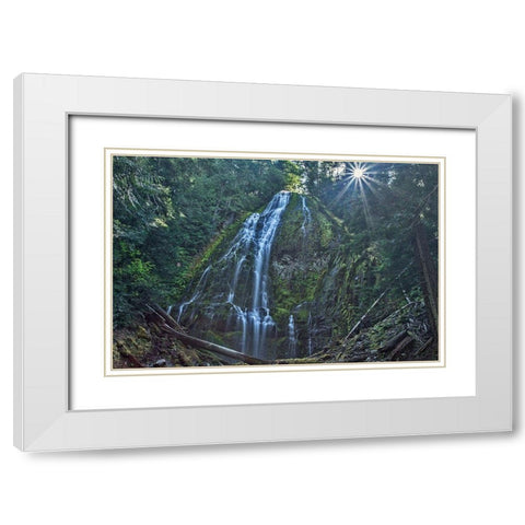 Lower Proxy Falls White Modern Wood Framed Art Print with Double Matting by McFerrin, Larry