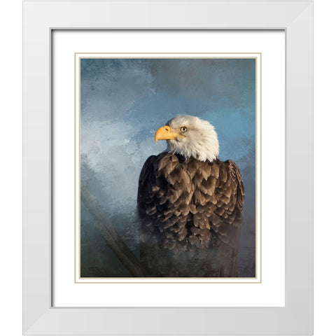 Bald Eagle White Modern Wood Framed Art Print with Double Matting by McFerrin, Larry