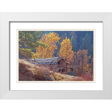 North Fork Cabin White Modern Wood Framed Art Print with Double Matting by McFerrin, Larry