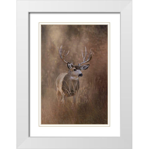 Muley - Malheur White Modern Wood Framed Art Print with Double Matting by McFerrin, Larry