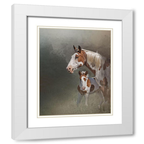 Chinook and Her Foal White Modern Wood Framed Art Print with Double Matting by McFerrin, Larry