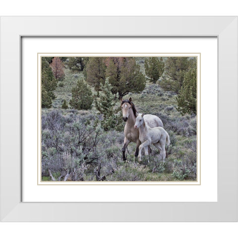 Palomino Mare and Colt White Modern Wood Framed Art Print with Double Matting by McFerrin, Larry