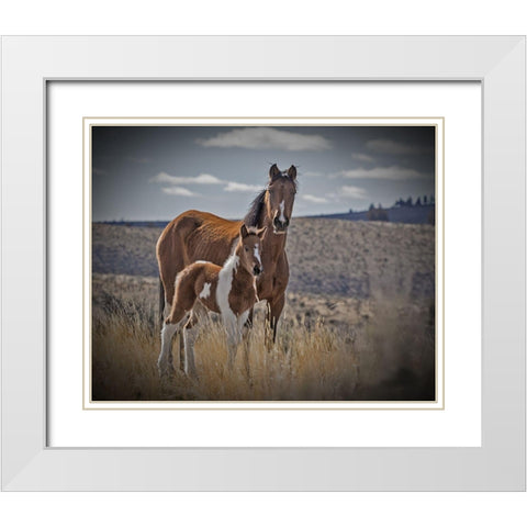 Sequoyah Colt White Modern Wood Framed Art Print with Double Matting by McFerrin, Larry