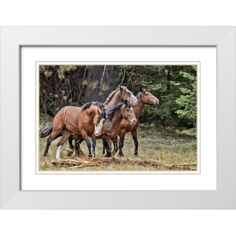 Dreamsickle, Scarbutt and Bachelors White Modern Wood Framed Art Print with Double Matting by McFerrin, Larry