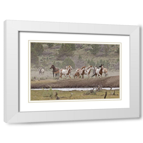 Ditto-Galileo Band White Modern Wood Framed Art Print with Double Matting by McFerrin, Larry