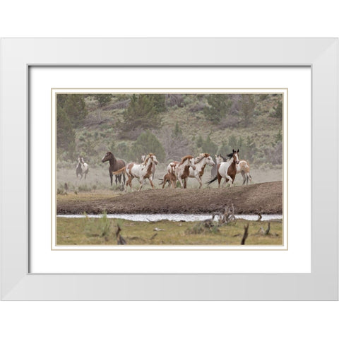 Ditto-Galileo Band White Modern Wood Framed Art Print with Double Matting by McFerrin, Larry