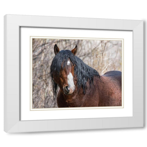 Half Mask - Ochoco Stallion White Modern Wood Framed Art Print with Double Matting by McFerrin, Larry