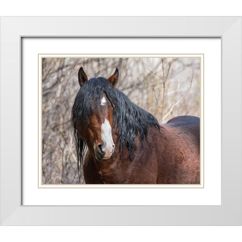 Half Mask - Ochoco Stallion White Modern Wood Framed Art Print with Double Matting by McFerrin, Larry
