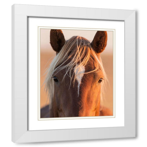 Curious White Modern Wood Framed Art Print with Double Matting by McFerrin, Larry