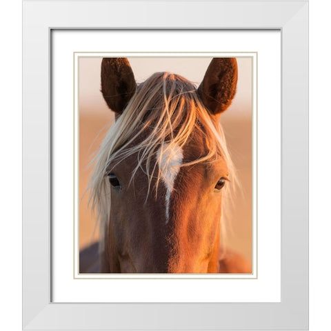 Curious White Modern Wood Framed Art Print with Double Matting by McFerrin, Larry