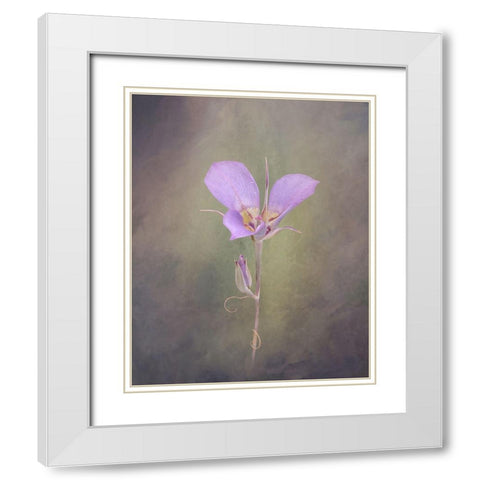 Sagebrush Mariposa Lily White Modern Wood Framed Art Print with Double Matting by McFerrin, Larry