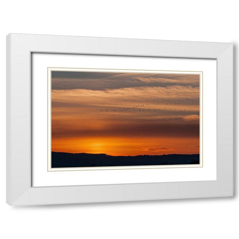 Sunset Flight White Modern Wood Framed Art Print with Double Matting by McFerrin, Larry