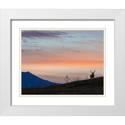 Elkscape White Modern Wood Framed Art Print with Double Matting by McFerrin, Larry