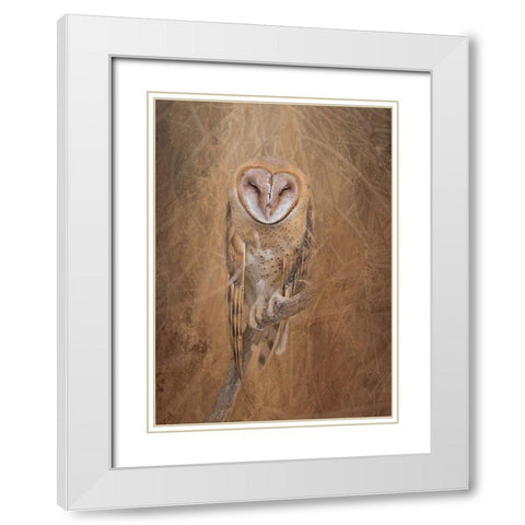 Barn Owl White Modern Wood Framed Art Print with Double Matting by McFerrin, Larry
