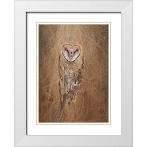 Barn Owl White Modern Wood Framed Art Print with Double Matting by McFerrin, Larry