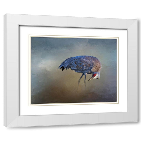Sandhill Crane White Modern Wood Framed Art Print with Double Matting by McFerrin, Larry