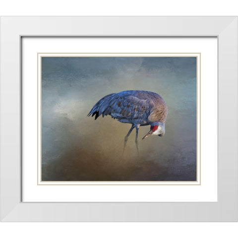Sandhill Crane White Modern Wood Framed Art Print with Double Matting by McFerrin, Larry