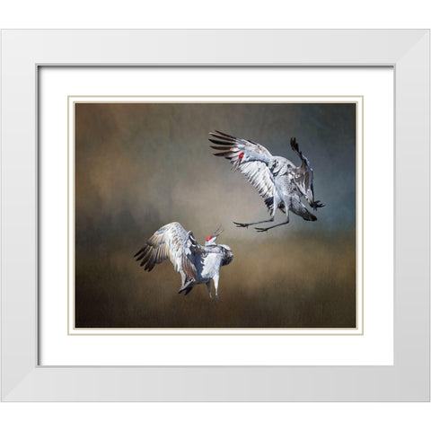 Sandhill Cranes White Modern Wood Framed Art Print with Double Matting by McFerrin, Larry