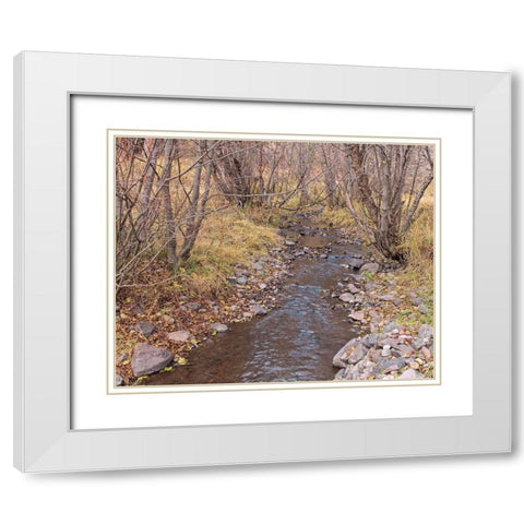 Ochoco Creek White Modern Wood Framed Art Print with Double Matting by McFerrin, Larry