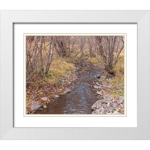 Ochoco Creek White Modern Wood Framed Art Print with Double Matting by McFerrin, Larry