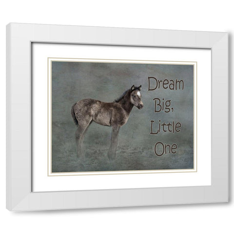 Dream Big White Modern Wood Framed Art Print with Double Matting by McFerrin, Larry