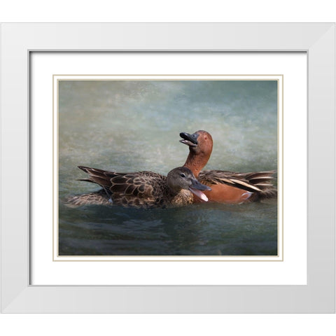 Cinnamon Teal Pair White Modern Wood Framed Art Print with Double Matting by McFerrin, Larry