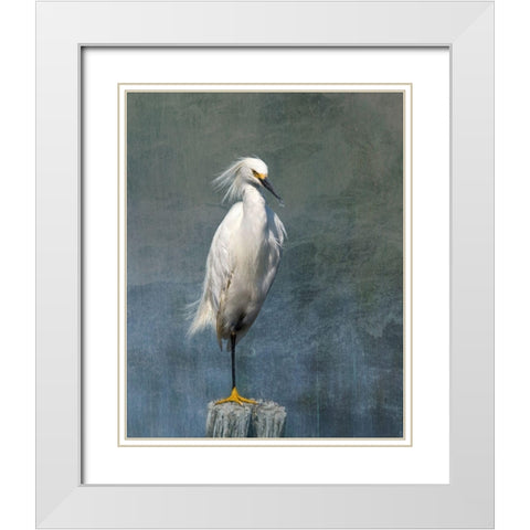 Snow Egret White Modern Wood Framed Art Print with Double Matting by McFerrin, Larry