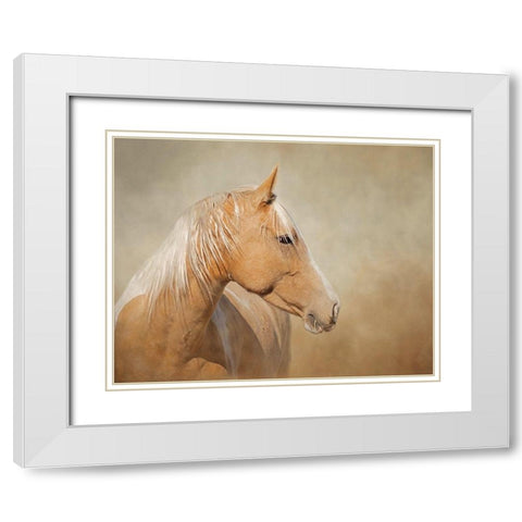 Silk - Mustang Mare White Modern Wood Framed Art Print with Double Matting by McFerrin, Larry