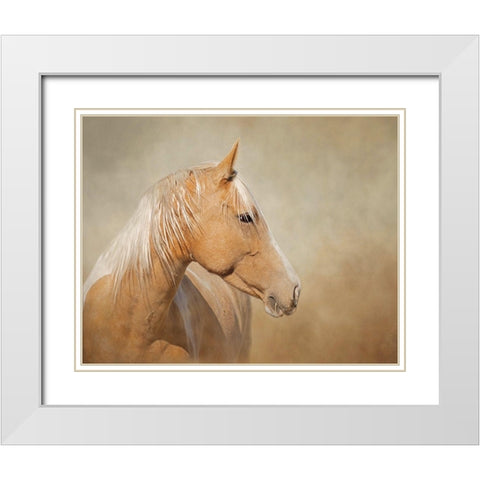 Silk - Mustang Mare White Modern Wood Framed Art Print with Double Matting by McFerrin, Larry