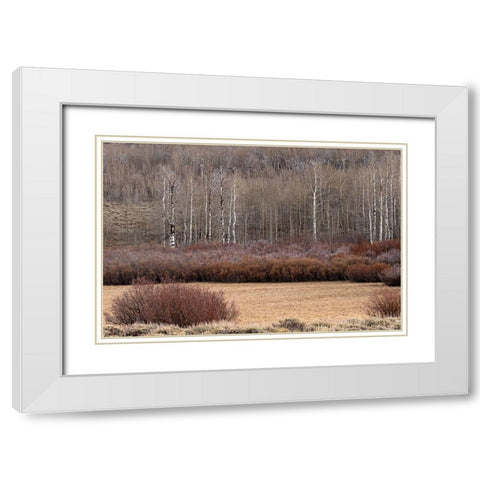Steens Mountain Meadow White Modern Wood Framed Art Print with Double Matting by McFerrin, Larry
