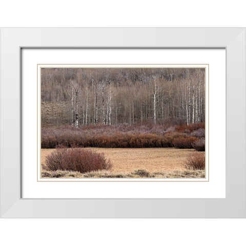 Steens Mountain Meadow White Modern Wood Framed Art Print with Double Matting by McFerrin, Larry