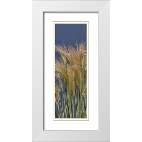 Cheat - Grass White Modern Wood Framed Art Print with Double Matting by McFerrin, Larry