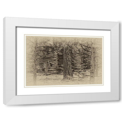 Cabin in the Woods White Modern Wood Framed Art Print with Double Matting by McFerrin, Larry