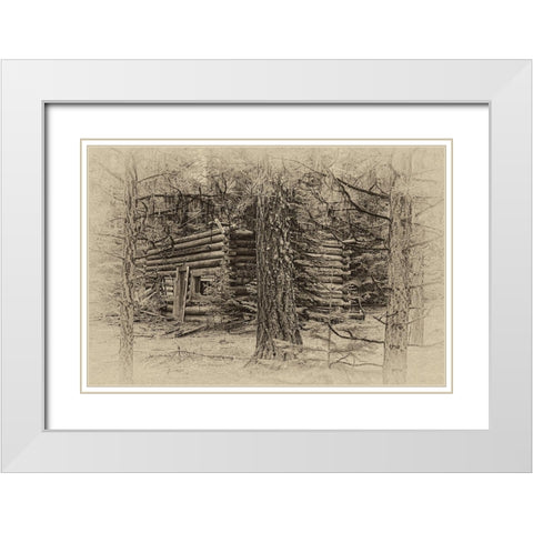 Cabin in the Woods White Modern Wood Framed Art Print with Double Matting by McFerrin, Larry