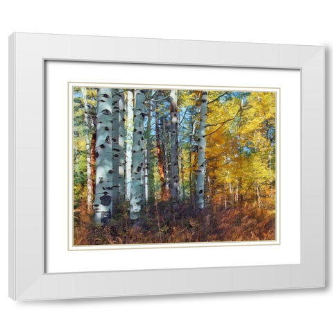 Autumn Aspens White Modern Wood Framed Art Print with Double Matting by McFerrin, Larry
