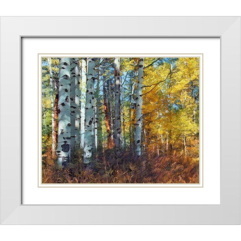 Autumn Aspens White Modern Wood Framed Art Print with Double Matting by McFerrin, Larry