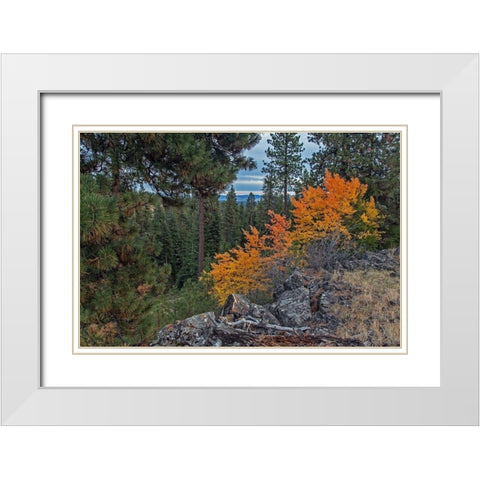 Aspen Blaze White Modern Wood Framed Art Print with Double Matting by McFerrin, Larry