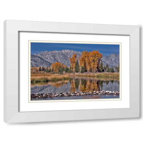 Teton Autumn White Modern Wood Framed Art Print with Double Matting by McFerrin, Larry