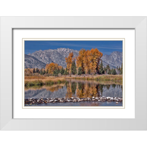 Teton Autumn White Modern Wood Framed Art Print with Double Matting by McFerrin, Larry