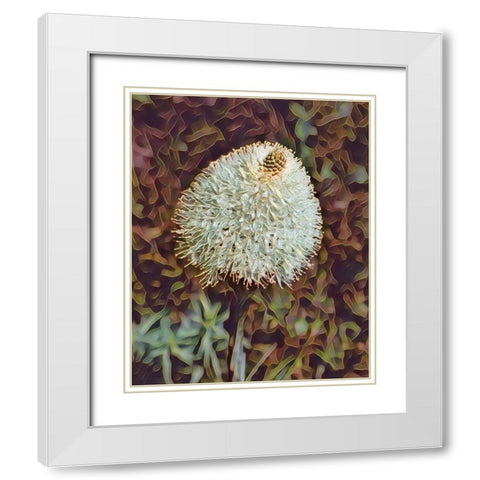Gemstone Bear Grass White Modern Wood Framed Art Print with Double Matting by McFerrin, Larry