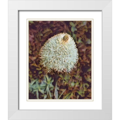 Gemstone Bear Grass White Modern Wood Framed Art Print with Double Matting by McFerrin, Larry