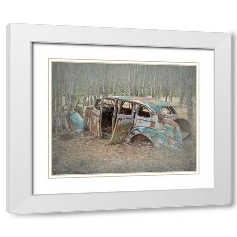 Abandoned White Modern Wood Framed Art Print with Double Matting by McFerrin, Larry