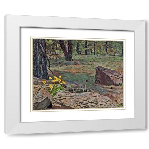 Mules Ears in Forest White Modern Wood Framed Art Print with Double Matting by McFerrin, Larry