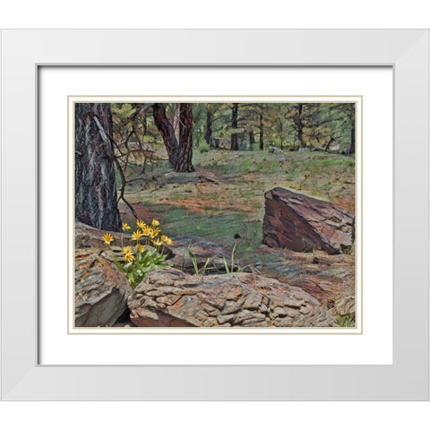Mules Ears in Forest White Modern Wood Framed Art Print with Double Matting by McFerrin, Larry