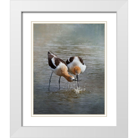 American Avocet II White Modern Wood Framed Art Print with Double Matting by McFerrin, Larry
